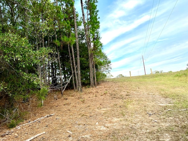 0 County Road 13, Headland, AL 36345 - photo 7