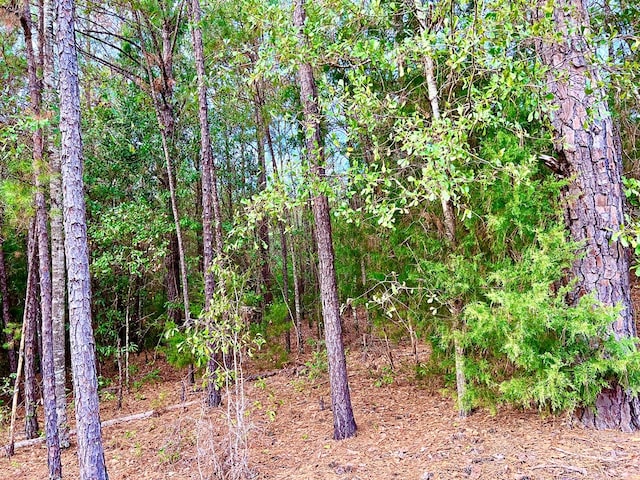 0 County Road 13, Headland, AL 36345 - photo 9