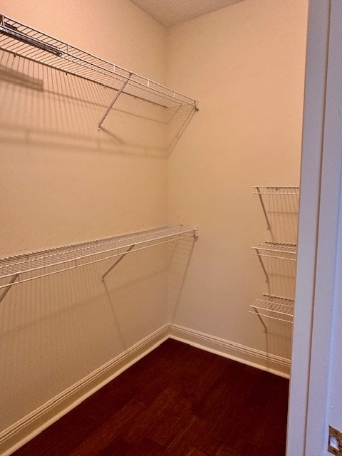 6 Woodmere Dr, Dothan, AL 36305 - spacious closet featuring dark wood-style floors