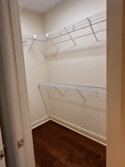 6 Woodmere Dr, Dothan, AL 36305 - spacious closet with dark wood finished floors