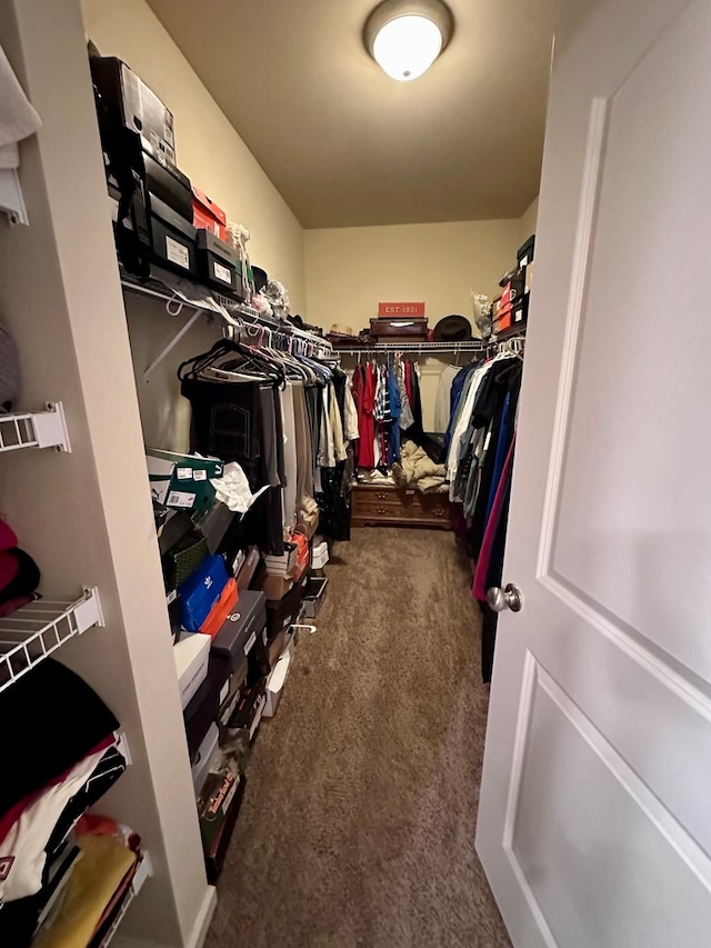 112 Covenant Dr, Dothan, AL 36303 - spacious closet featuring carpet flooring