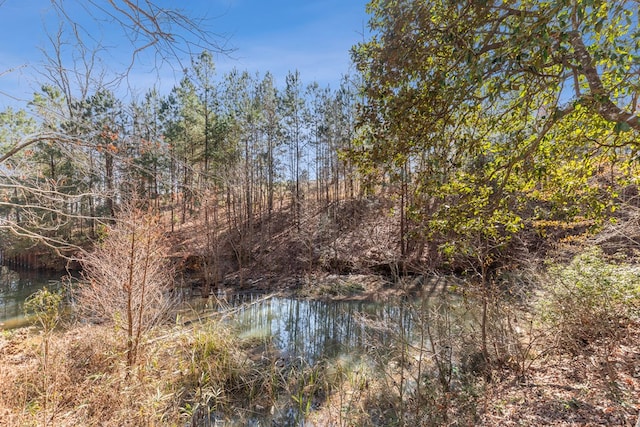 view of local wilderness with a water view