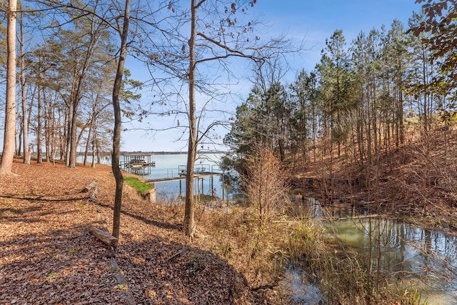 view of water feature with a dock