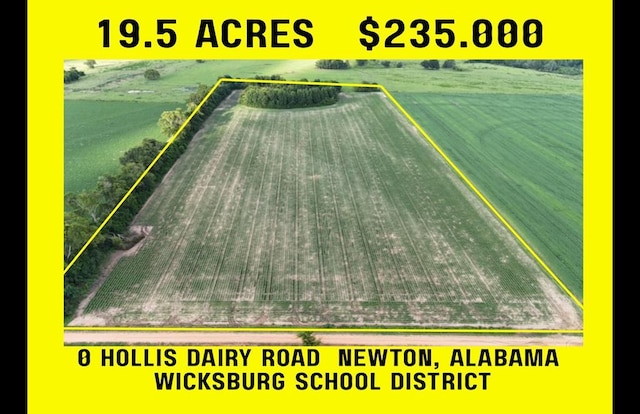 0 Hollis Dairy Rd, Newton, AL 36352