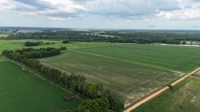 0 Hollis Dairy Rd, Newton, AL 36352