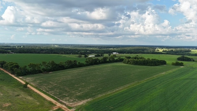 0 Hollis Dairy Rd, Newton, AL 36352