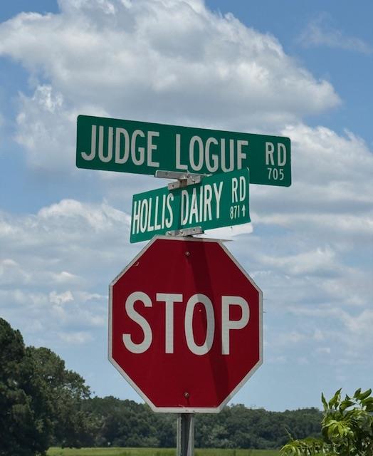 0 Hollis Dairy Rd, Newton, AL 36352