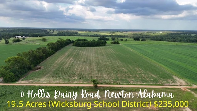 0 Hollis Dairy Rd, Newton, AL 36352