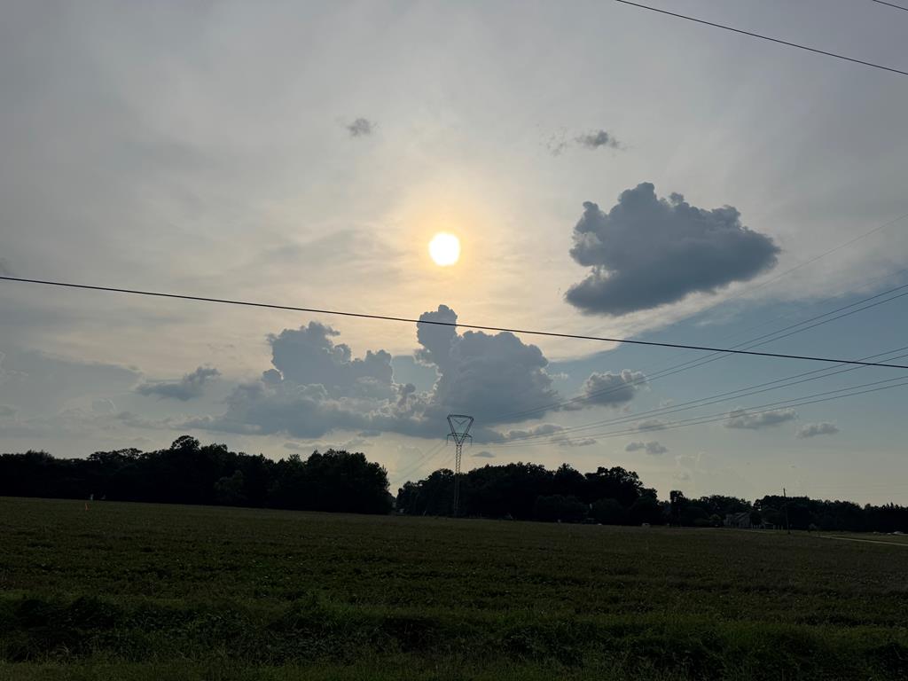 LOT1 Cowarts Creek Rd, Ashford, AL 36312