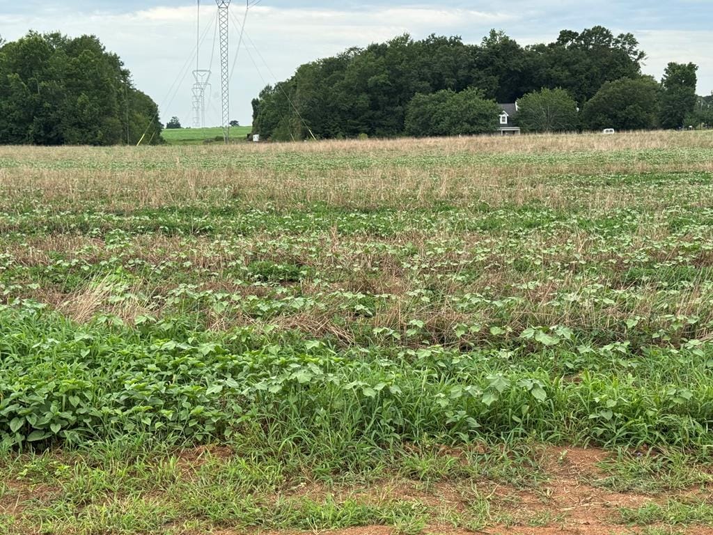 LOT1 Cowarts Creek Rd, Ashford, AL 36312