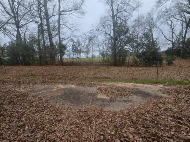 view of yard with a rural view