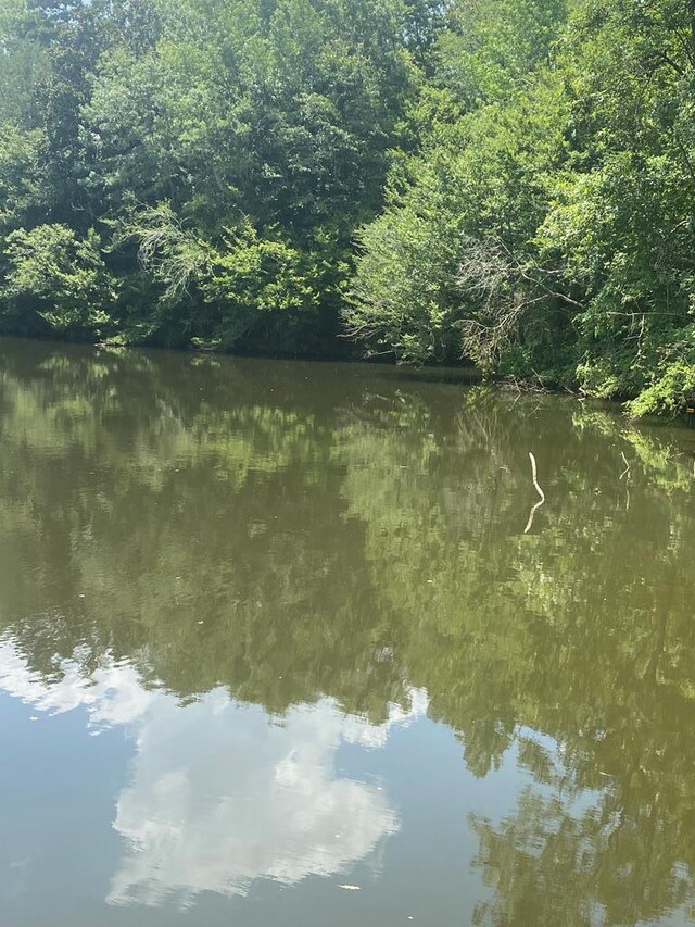 134 River Rd, Columbia, AL 36319