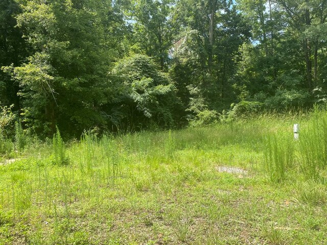134 River Rd, Columbia, AL 36319