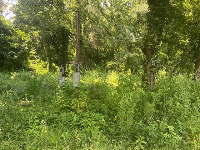 134 River Rd, Columbia, AL 36319
