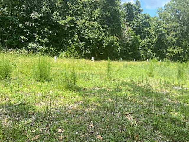 134 River Rd, Columbia, AL 36319