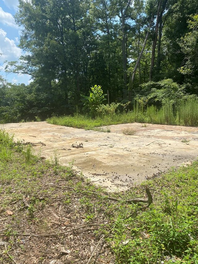 134 River Rd, Columbia, AL 36319