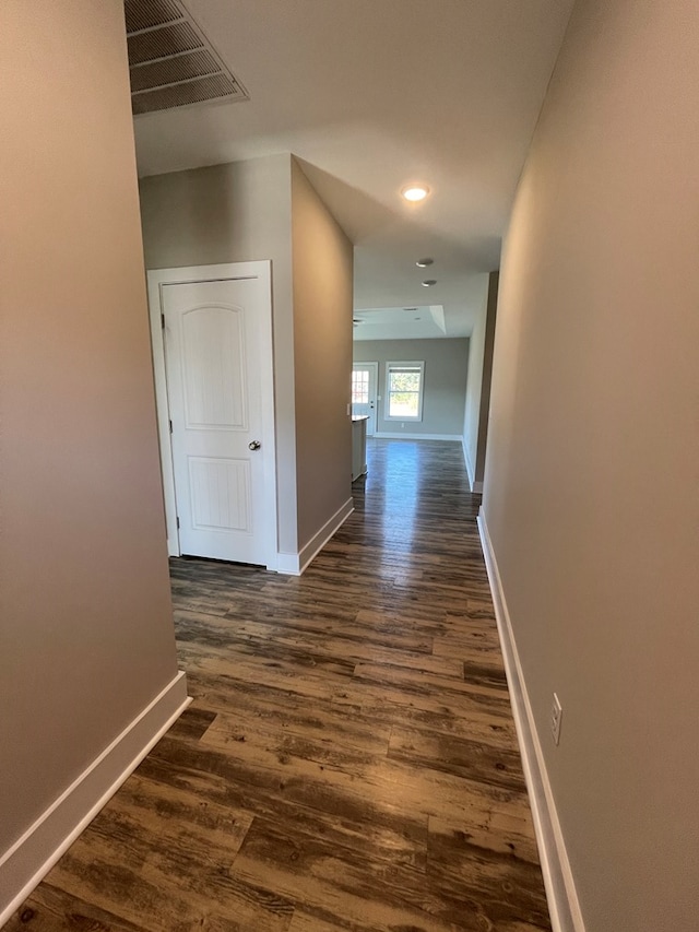 corridor with dark hardwood / wood-style floors