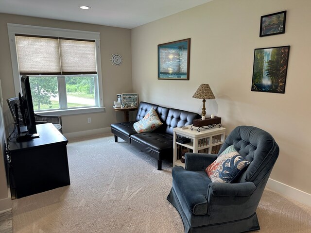 living room featuring carpet flooring