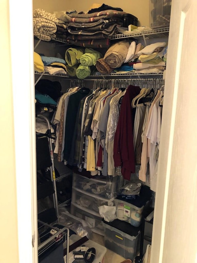 view of closet