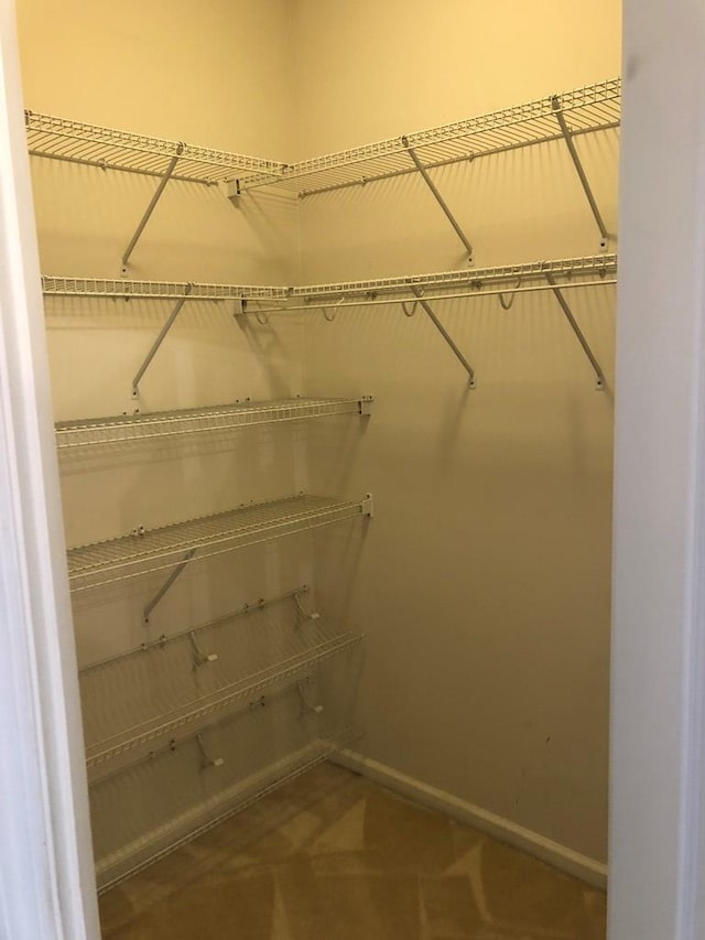 walk in closet with carpet