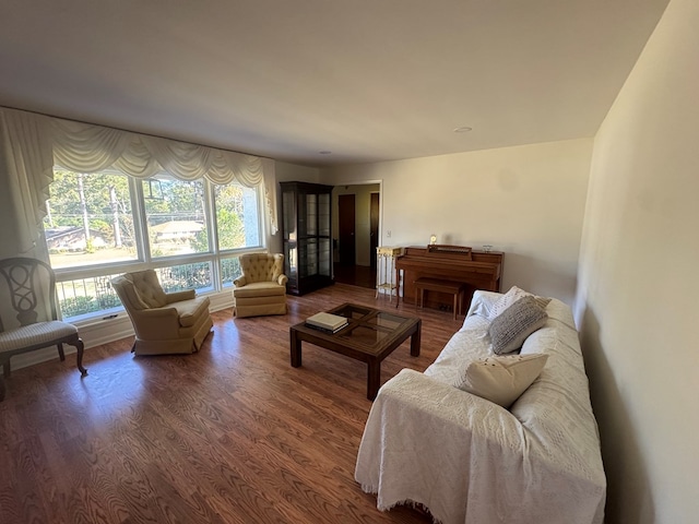 living room featuring hardwood / wood-style flooring