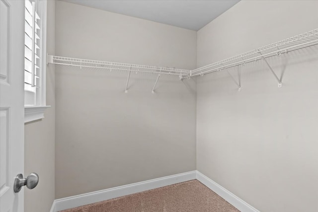118 Tablerock Ct, Dothan, AL 36301 - photo 21
