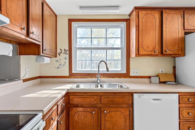 kitchen featuring sink and white dishwasher