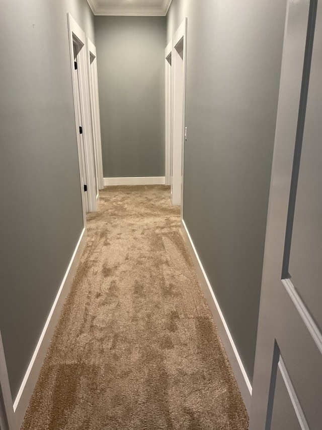 hall with light colored carpet, crown molding, and baseboards