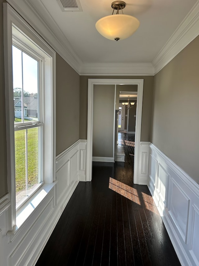 hall with a healthy amount of sunlight, ornamental molding, dark wood-type flooring, and an inviting chandelier