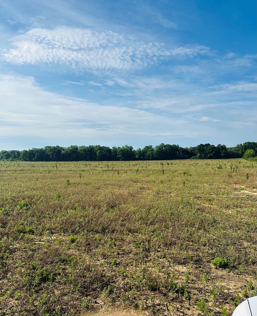0 New Hinson Rd, Slocomb, AL 36375