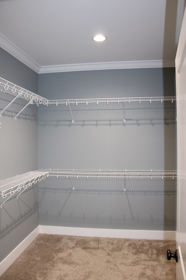 106 Archer Trl, Enterprise, AL 36330 - photo 18