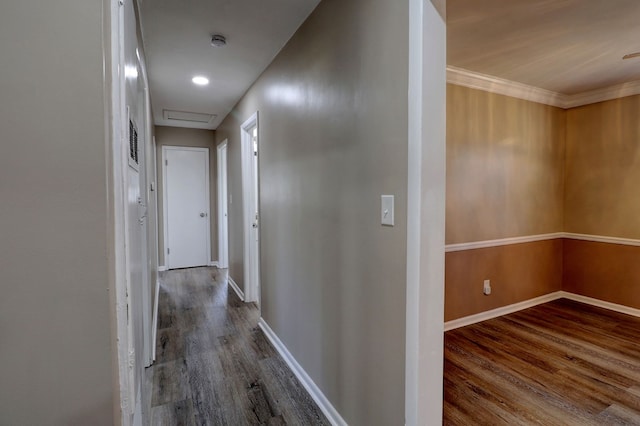 hallway with hardwood / wood-style flooring and crown molding