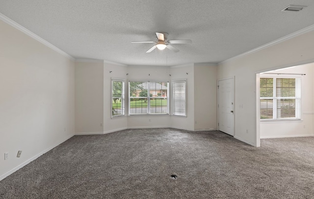 spare room with carpet flooring, a textured ceiling, ceiling fan, and a healthy amount of sunlight