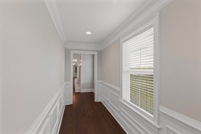 hallway featuring dark hardwood / wood-style floors and crown molding