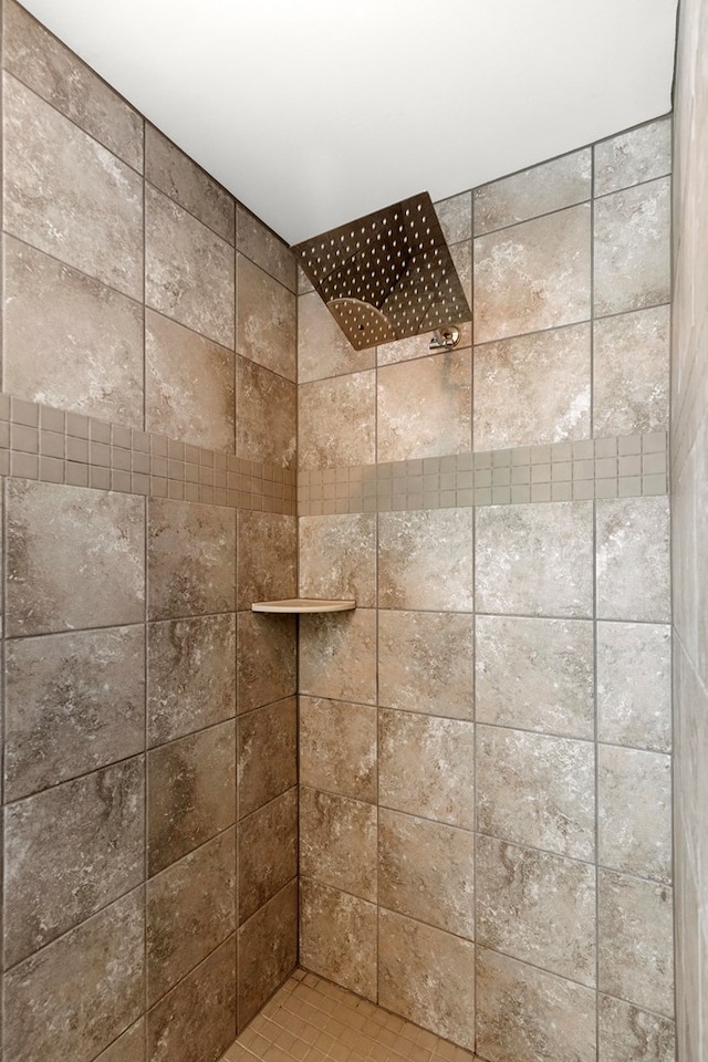 room details featuring tiled shower