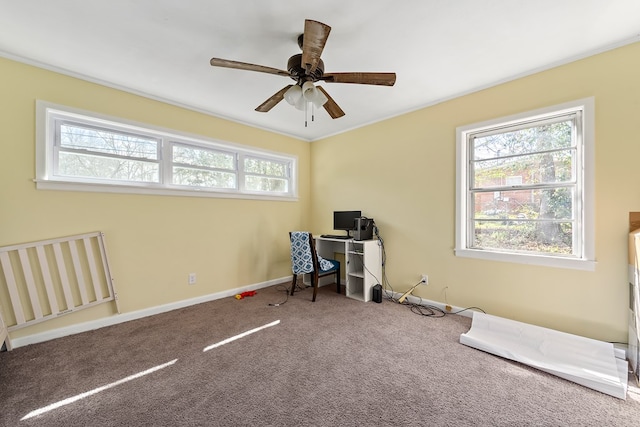 carpeted office with a ceiling fan, baseboards, a wealth of natural light, and ornamental molding