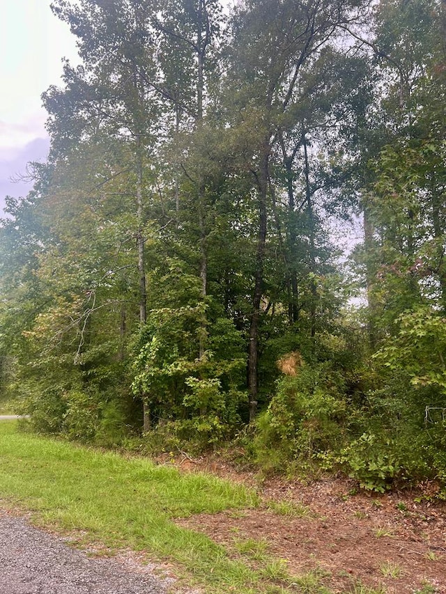 Listing photo 3 for 0 Douglas Dr, Abbeville AL 36310