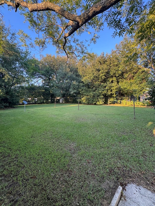 530 Pleasant Grove Rd, Ashford, AL 36312 - view of green lawn