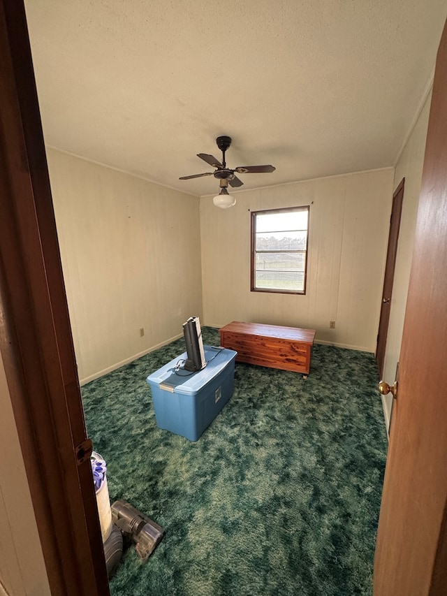530 Pleasant Grove Rd, Ashford, AL 36312 - unfurnished room with carpet floors, a textured ceiling, and a ceiling fan
