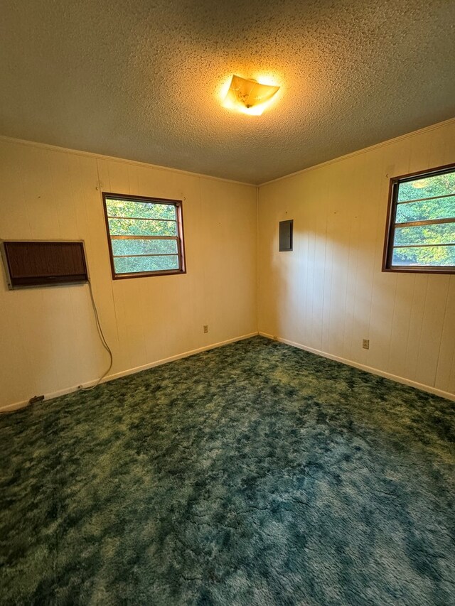 530 Pleasant Grove Rd, Ashford, AL 36312 - spare room with a textured ceiling and dark colored carpet