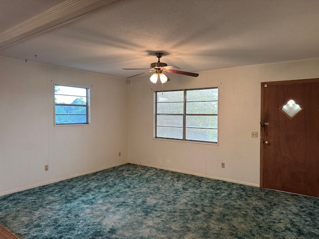 530 Pleasant Grove Rd, Ashford, AL 36312 - foyer with a ceiling fan, carpet flooring, and a textured ceiling