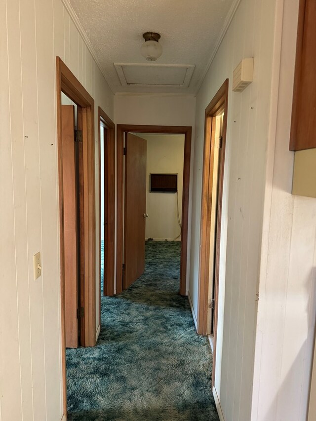 530 Pleasant Grove Rd, Ashford, AL 36312 - corridor featuring dark colored carpet, attic access, and wooden walls