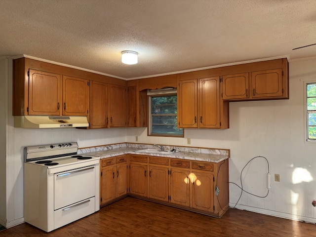 530 Pleasant Grove Rd, Ashford, AL 36312 - kitchen with electric range, under cabinet range hood, a textured ceiling, brown cabinetry, and light countertops