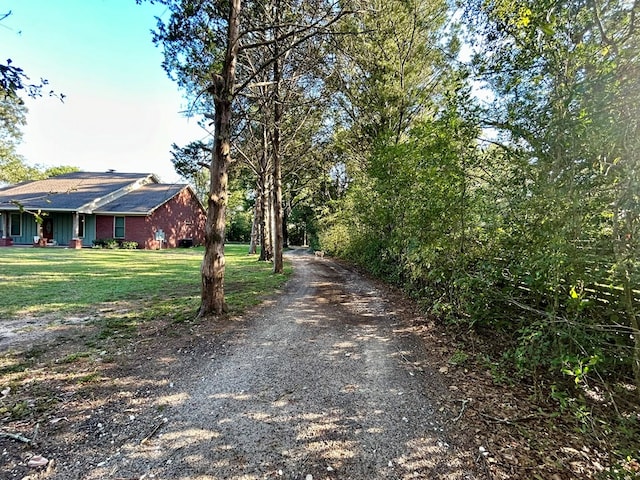 1456 State Highway 134 E, Headland, AL 36345 - view of road featuring gravel driveway