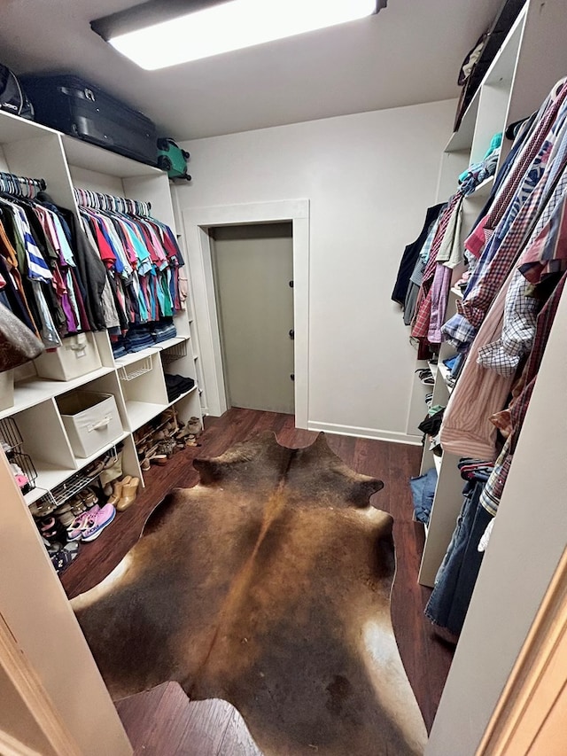 spacious closet with dark hardwood / wood-style flooring