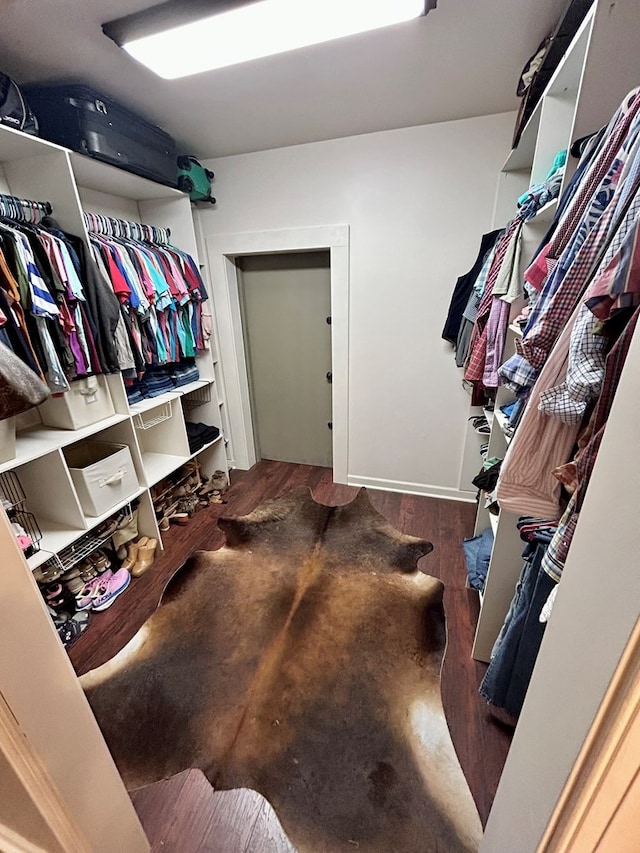 1456 State Highway 134 E, Headland, AL 36345 - walk in closet featuring wood finished floors