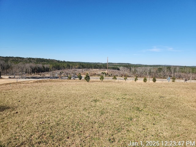 view of yard featuring a rural view