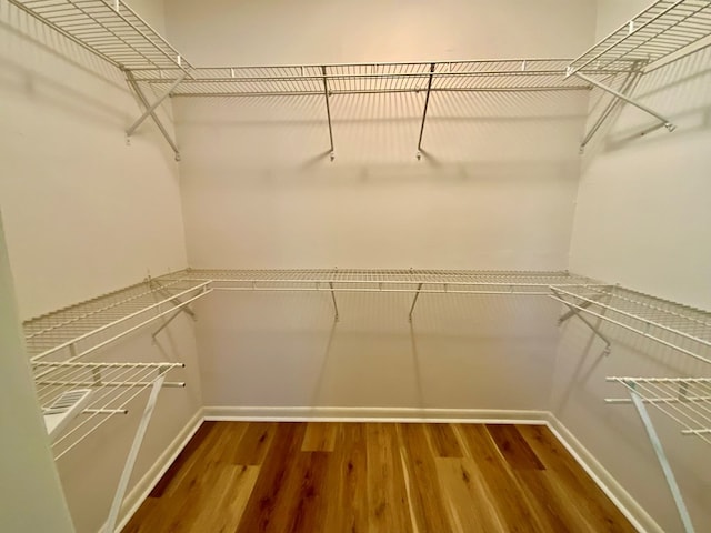103 Peartree Cir, Dothan, AL 36301 - walk in closet with wood finished floors