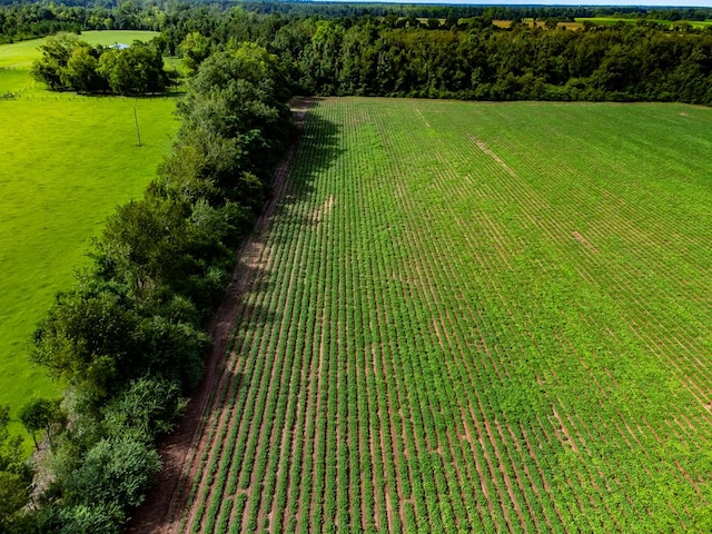 04 Adams Rd, Ashford AL, 36312 land for sale