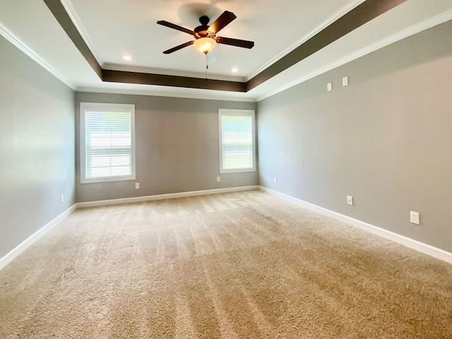 503 Cedar Grove Ln, Enterprise, AL 36330 - empty room featuring a raised ceiling, ornamental molding, plenty of natural light, a ceiling fan, and light colored carpet